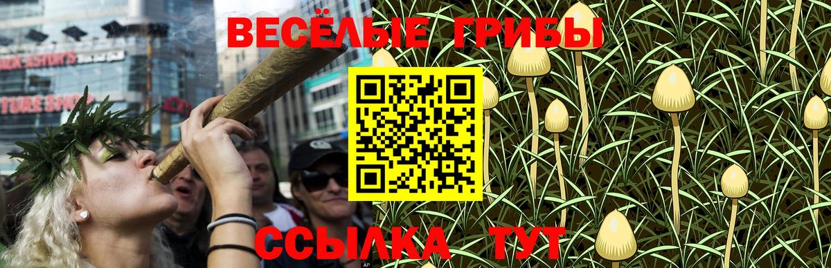 Хасавюрт  Галлюциногенные грибы мухоморы  Вход с VPN 