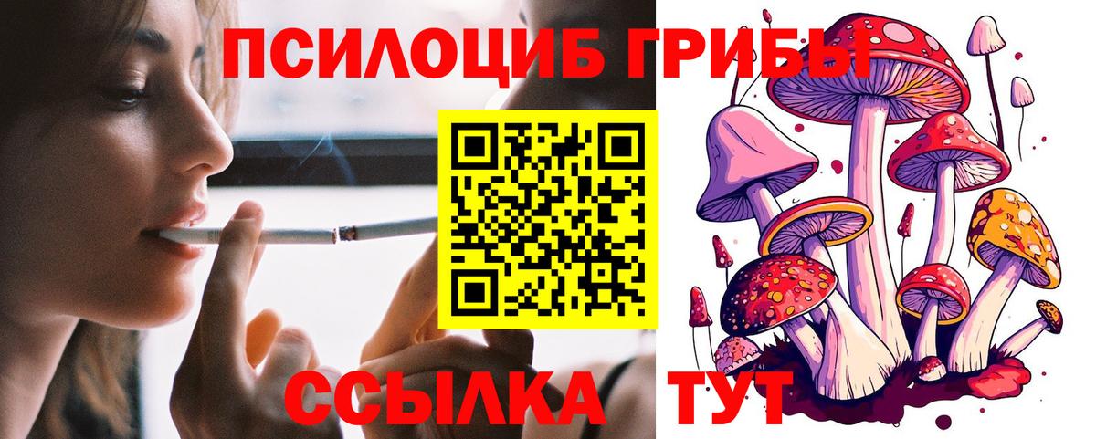 Галлюциногенные грибы Psilocybe Хасавюрт